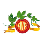 AVP